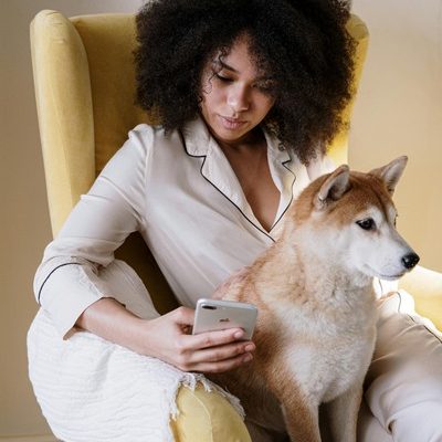 What Steps Should I Take If My Pet is Afraid of the Vet?